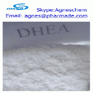 supply Dehydroisoandrosterone (DHEA) steroid