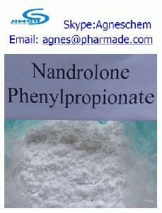 supply Nandrolone phenylpropionate (durabolin) for bodybuilding
