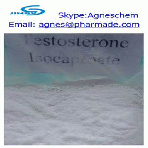supply Testosterone Isocaproate steroid for bodybuilding use