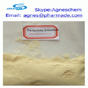 supply Trenbolone Enanthate (Parabola) steroid for bodybuilding 