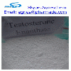 supply Testosterone Enanthate steroid for bodybuilding use