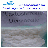 supply Testosterone Decanoate steroid for bodybuilding use