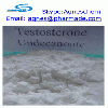 supply Testosterone Undecanoate steroid for bodybuilding use