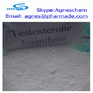 Testosterone Enanthate raw steroid/ Injectable Test enanthate