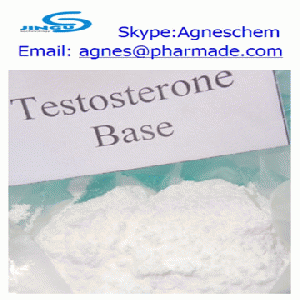 supply Testosterone base steroid for bodybuilding use