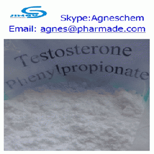 Testosterone Phenylpropionate steroid 