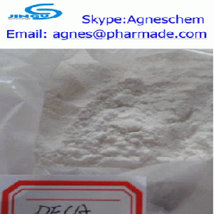 supply Nandrolone Decanoate (DECA) steroid for bodybuilding