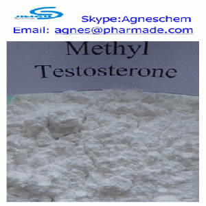 supply 17-alpha-Methyl Testosterone steroid for bodybuilding use