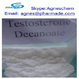 supply Testosterone Decanoate steroid for bodybuilding use